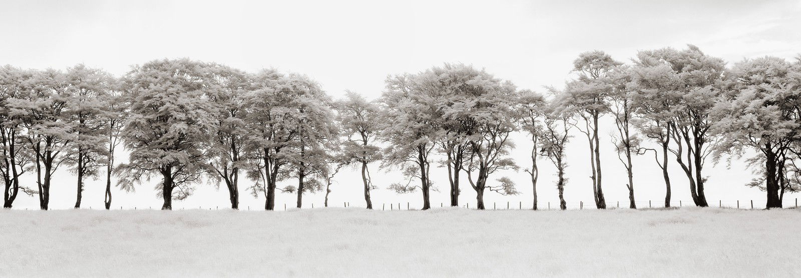 Auchindoun, Scotland by Helmut Hirler - Limited Edition. Edition of: 150. Signed.
