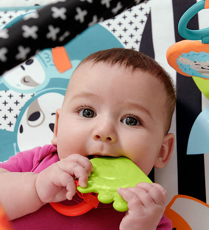 Fisher-Price Aktivitetst?ppe - 3 i 1 - Musik, Lys og Gro