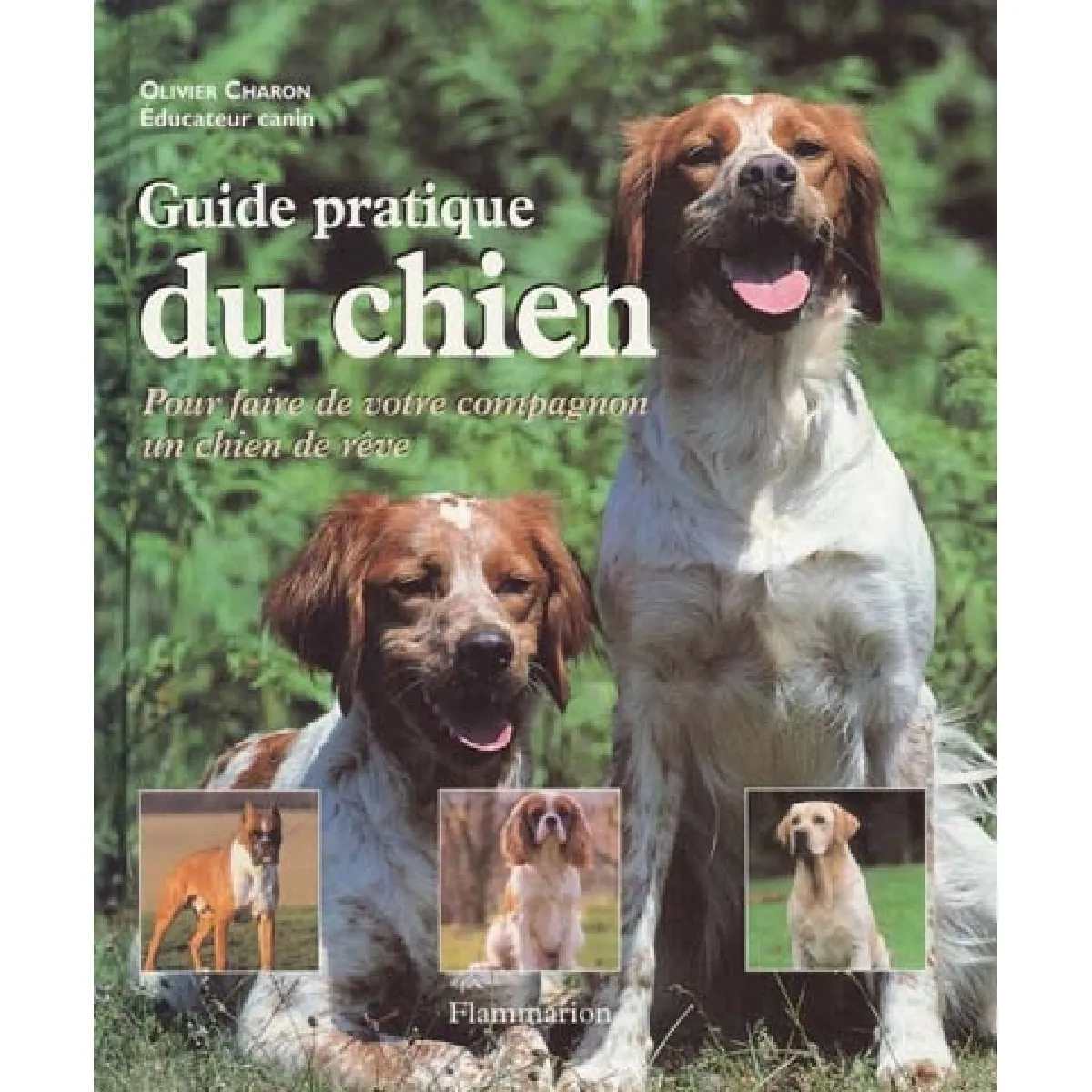 Guide pratique du chien : pour faire de votre compagnon un chien de rêve · Occasion