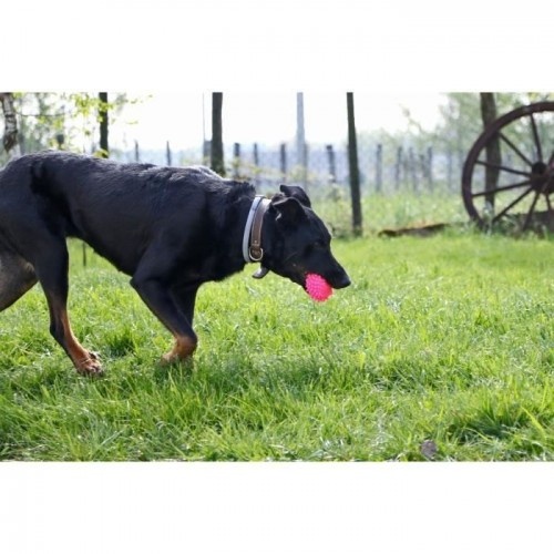 Brinquedo de ouriço-cacheiro rosa de vinil da AIME para cães