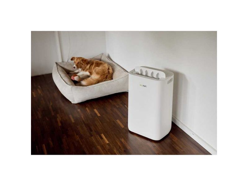 Ecofort Entfeuchter ecoQ DryAir 20L Complete 50 m² Premium-Luftentfeuchter