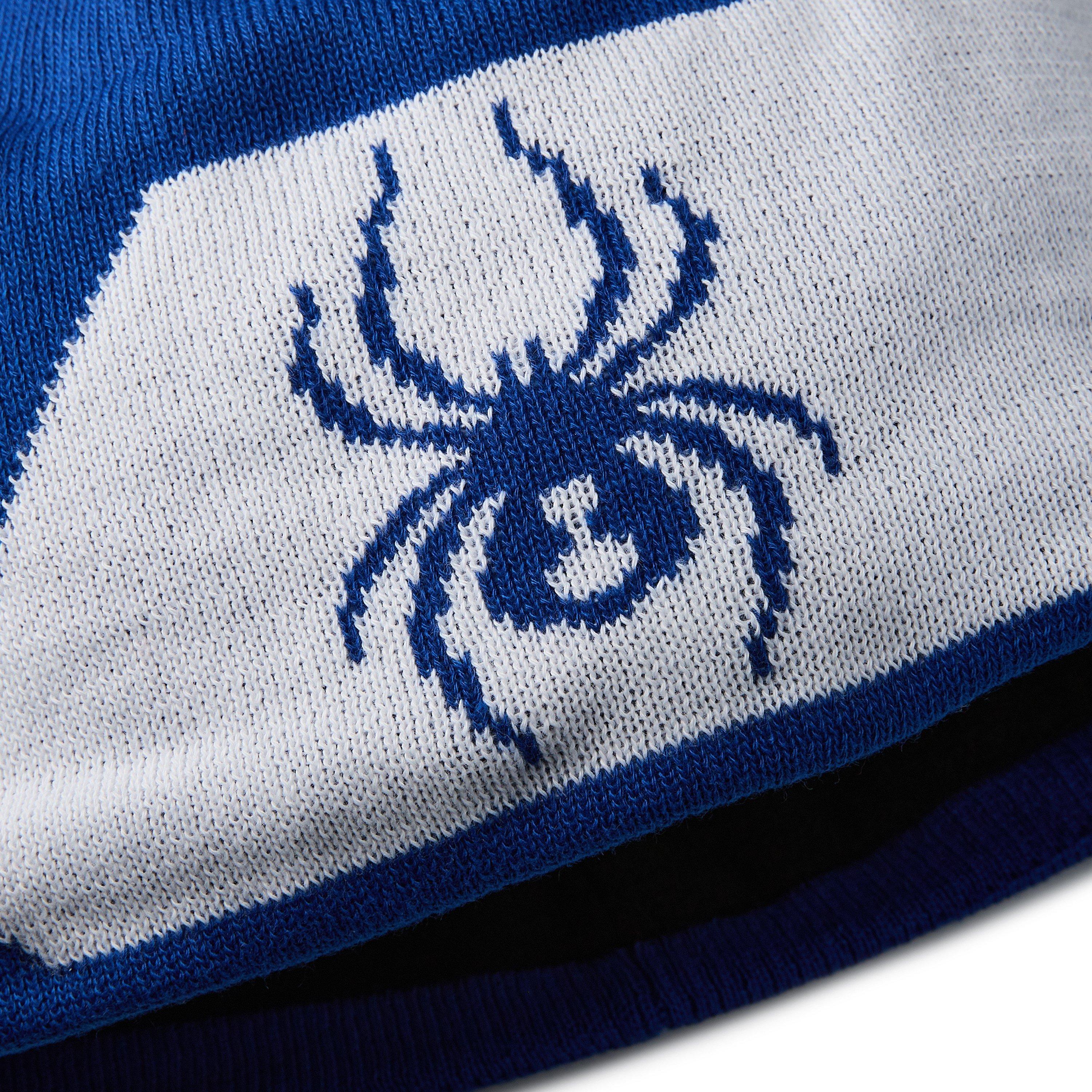 Spyder Spyder Shelby Beanie 41