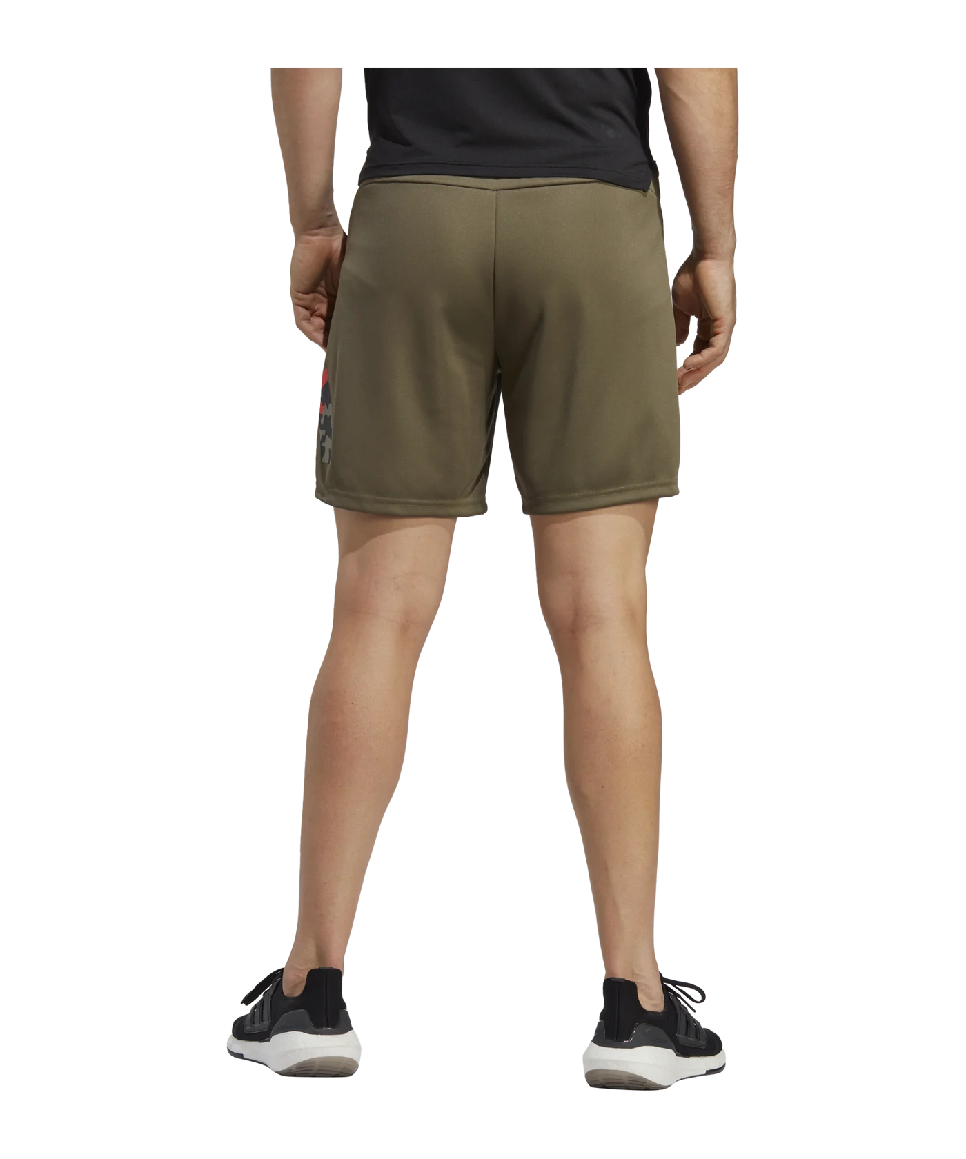 adidas Seasonal Trainingsshort Grün Schwarz