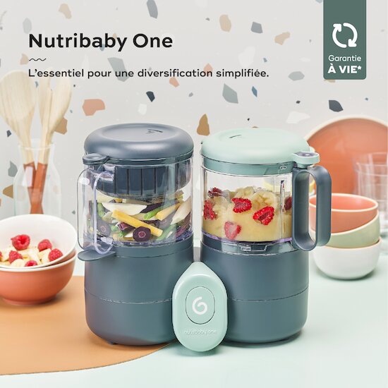 Nutribaby One   Gris        de               Babymoov