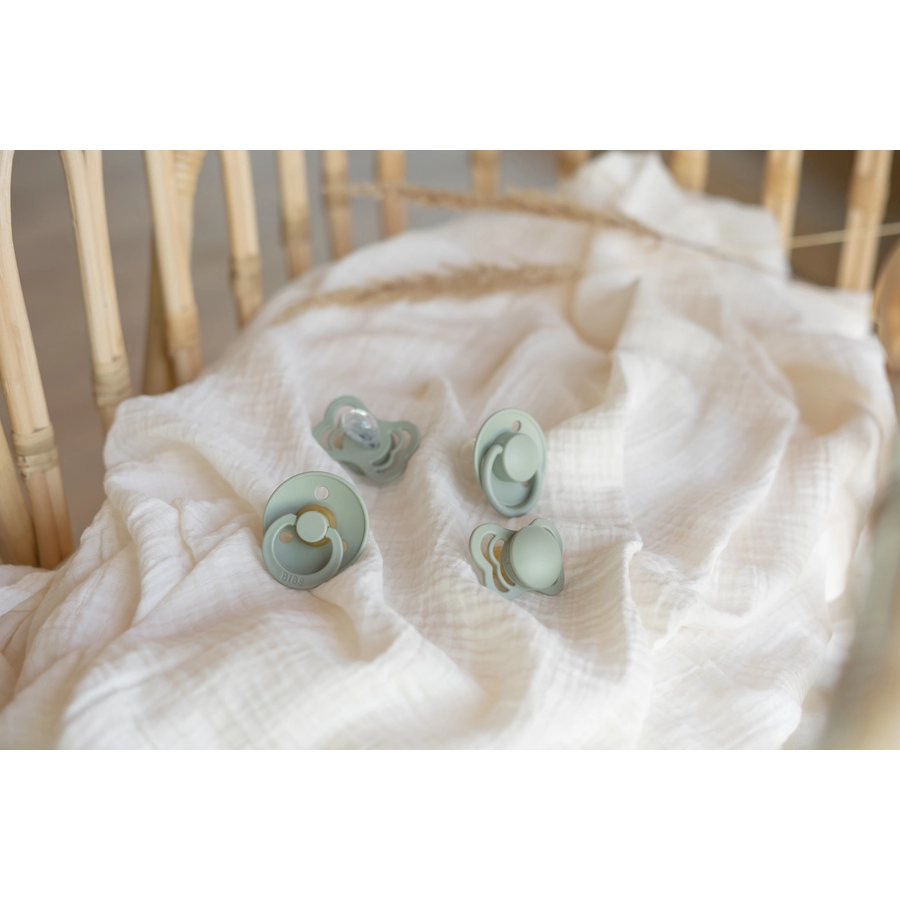 BIBS® Schnuller Try-it Kollektion Sage 0-6 Monate, 4 Stk.