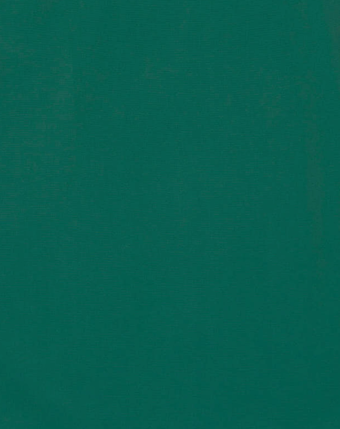 Badeshirt CACTUS in green