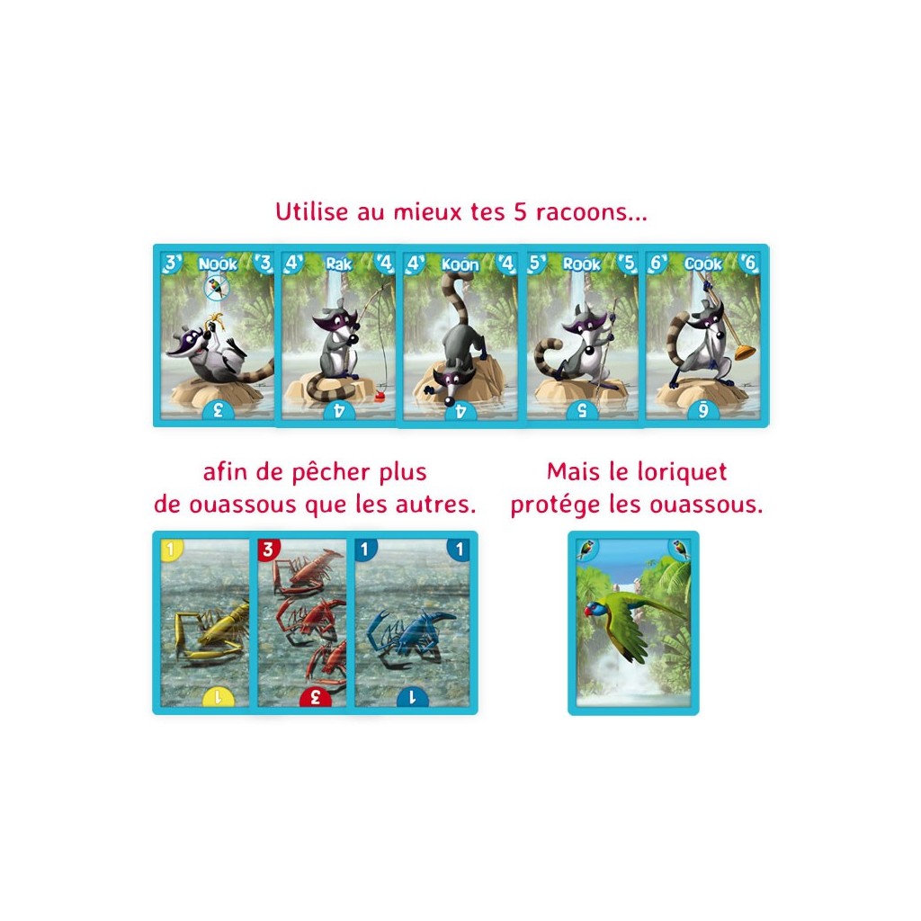 Nook le racoon et les Ouassous