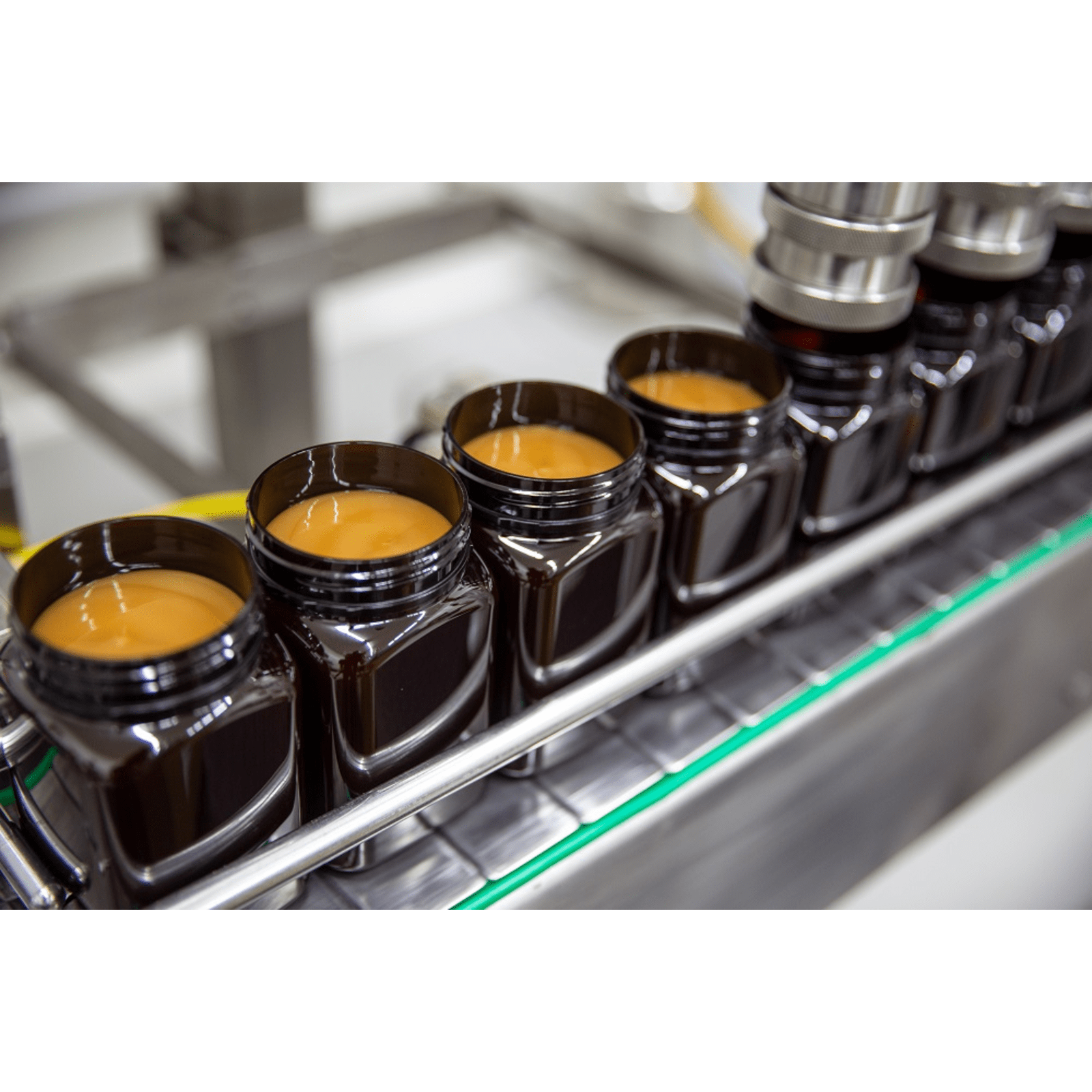Egmont Manuka Honig MGO 570+ UMF 16+ (500g)