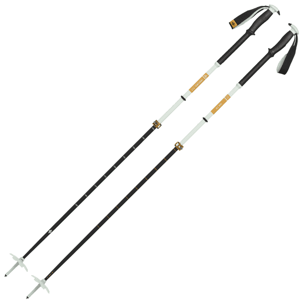 Bâton ski de randonnée BLACK DIAMOND TRAVERSE PRO SKI POLES FOAM FOAM GREEN