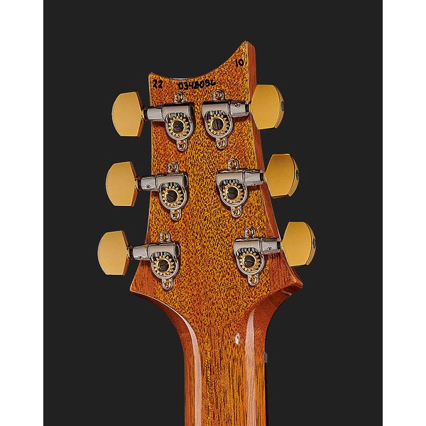 PRS Special Semi-Hollow 10 Top ER