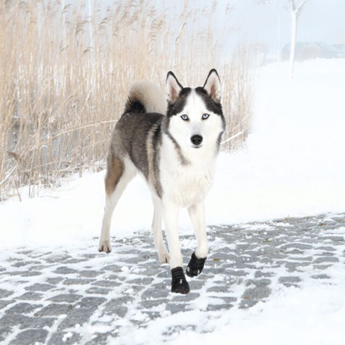 Trixie Walker Active Hondenschoen