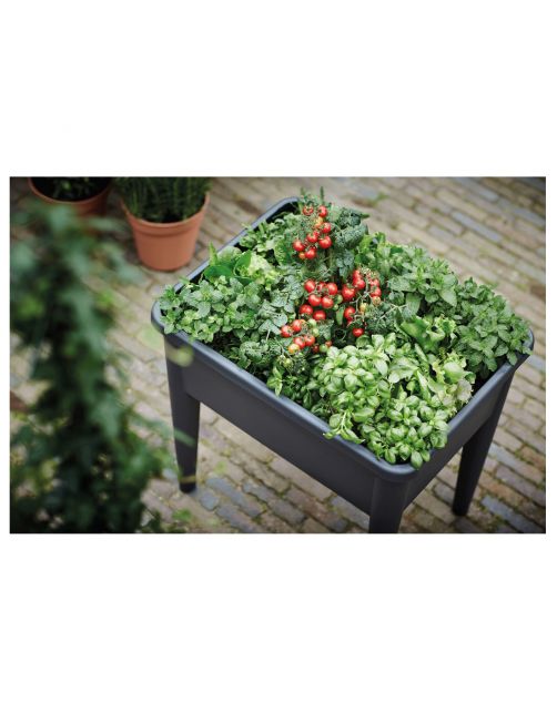 Elho Green Basics Kweektafel Super - Kweekbenodigdheden - 75.5x56.3x73.3 cm Zwart Xxl