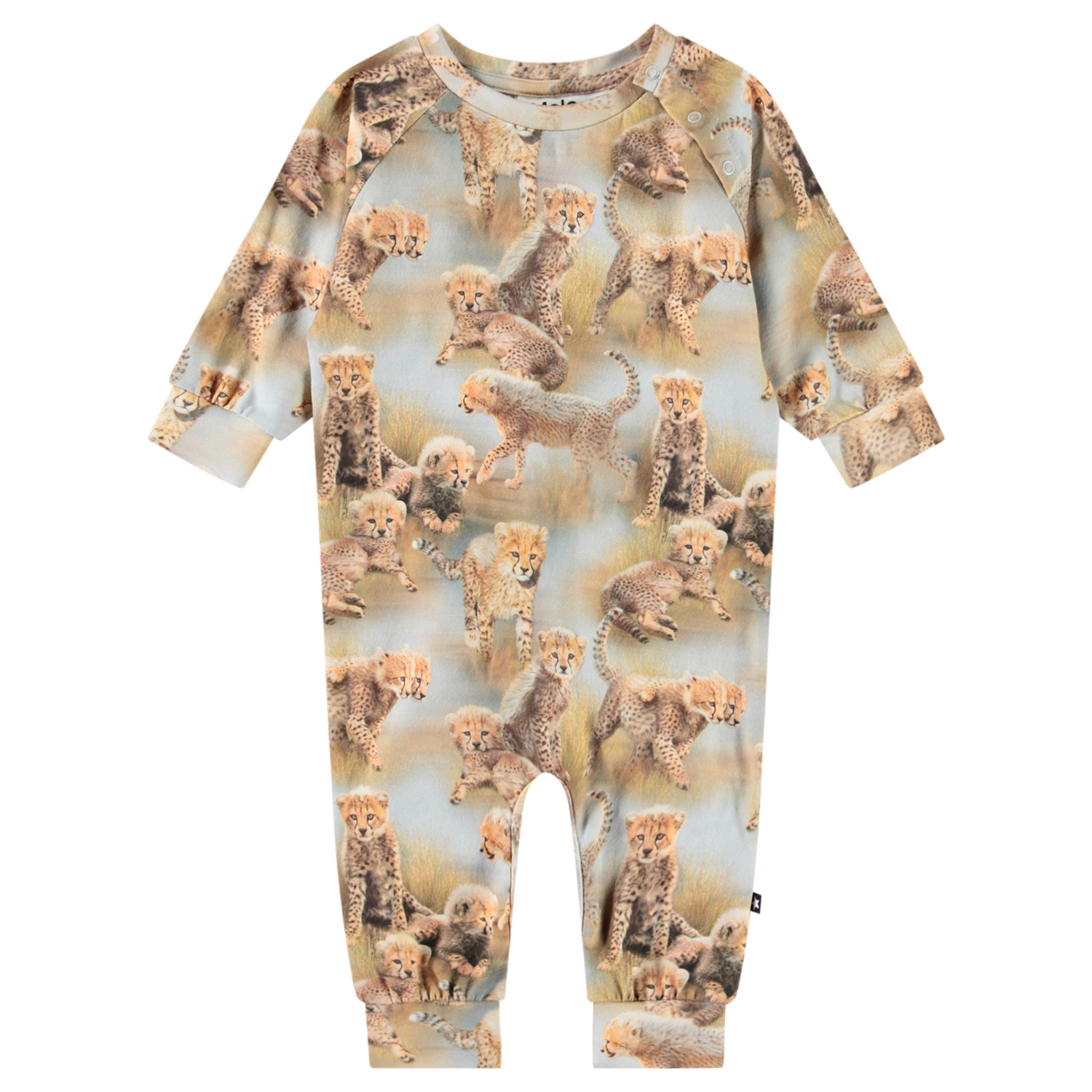 Fairfax - Cheetah Cubs