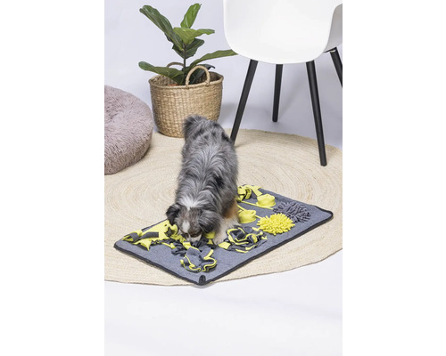 Beeztees Pluche Snuffelmat Flora 70 cm Hondenspeelgoed, Intelligentiespeelgoed, Snoepgoed, Activiteitenspeelgoed, Interactief Speelgoed