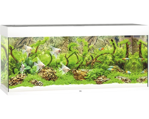 JUWEL Rio 240 aquarium met LED-verlichting, pomp, filter, verwarming (zonder kast), wit