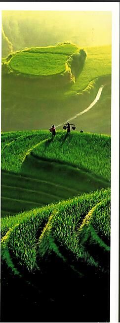 LONELY PLANET - ESSENTIEL DE LA CHINE