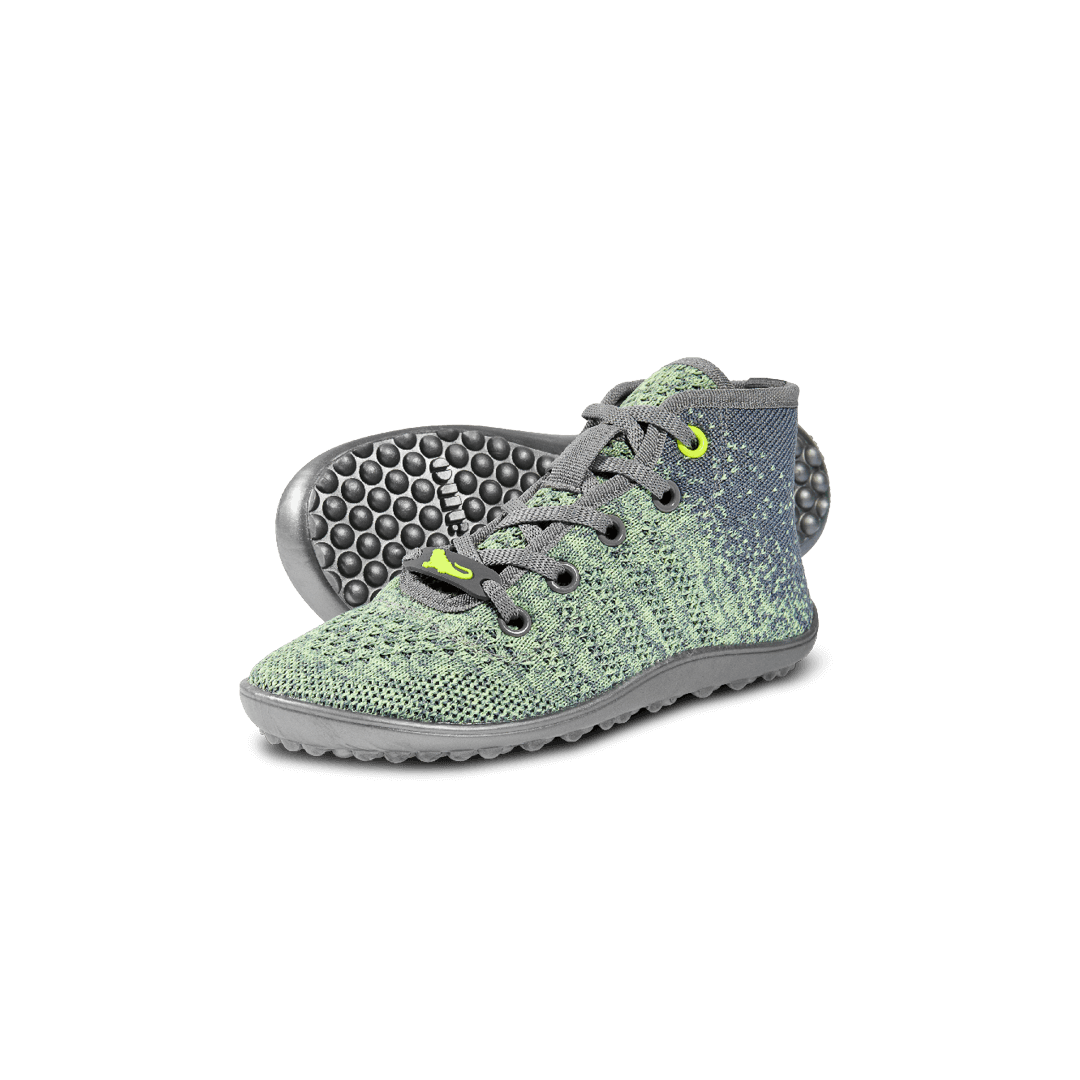 leguanito go: kiwi