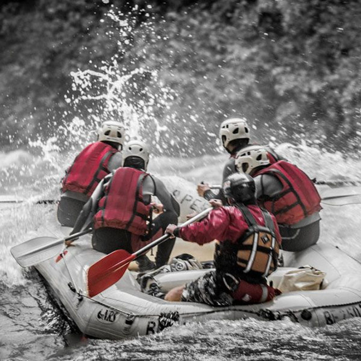 Lifesystems<br>Waterproof