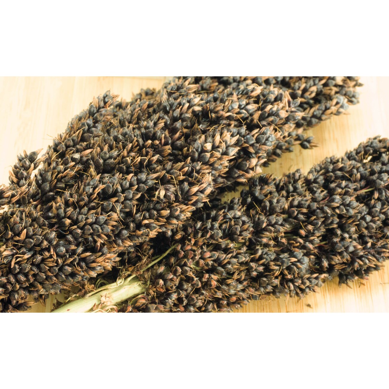 Getzoo Sorghum schwarz - getrocknet (Bund)