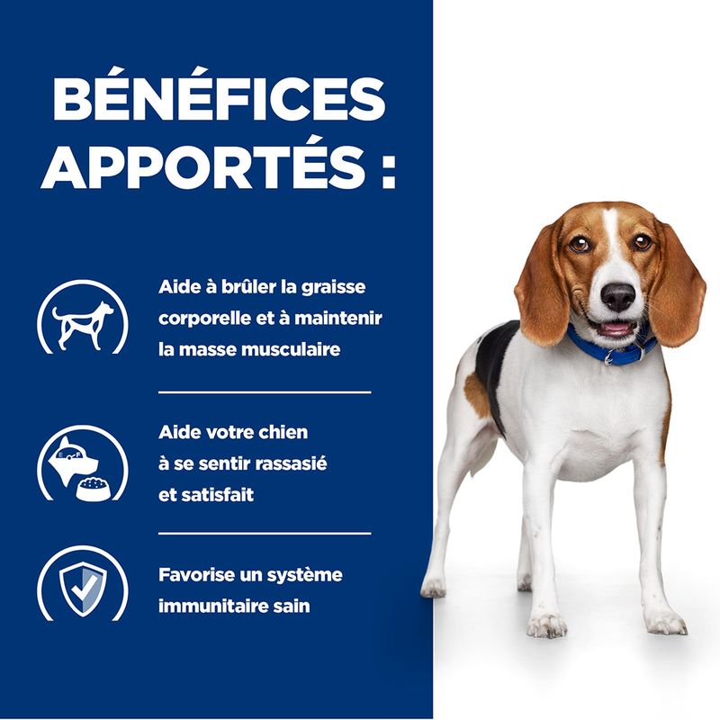 Hill's Prescription Diet Canine r/d Weight Reduction à Prix Discount | bitiba.fr