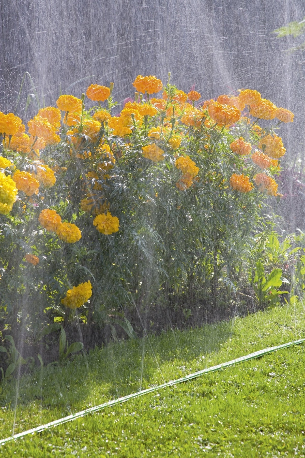 Gardena sproeierslang 15m
