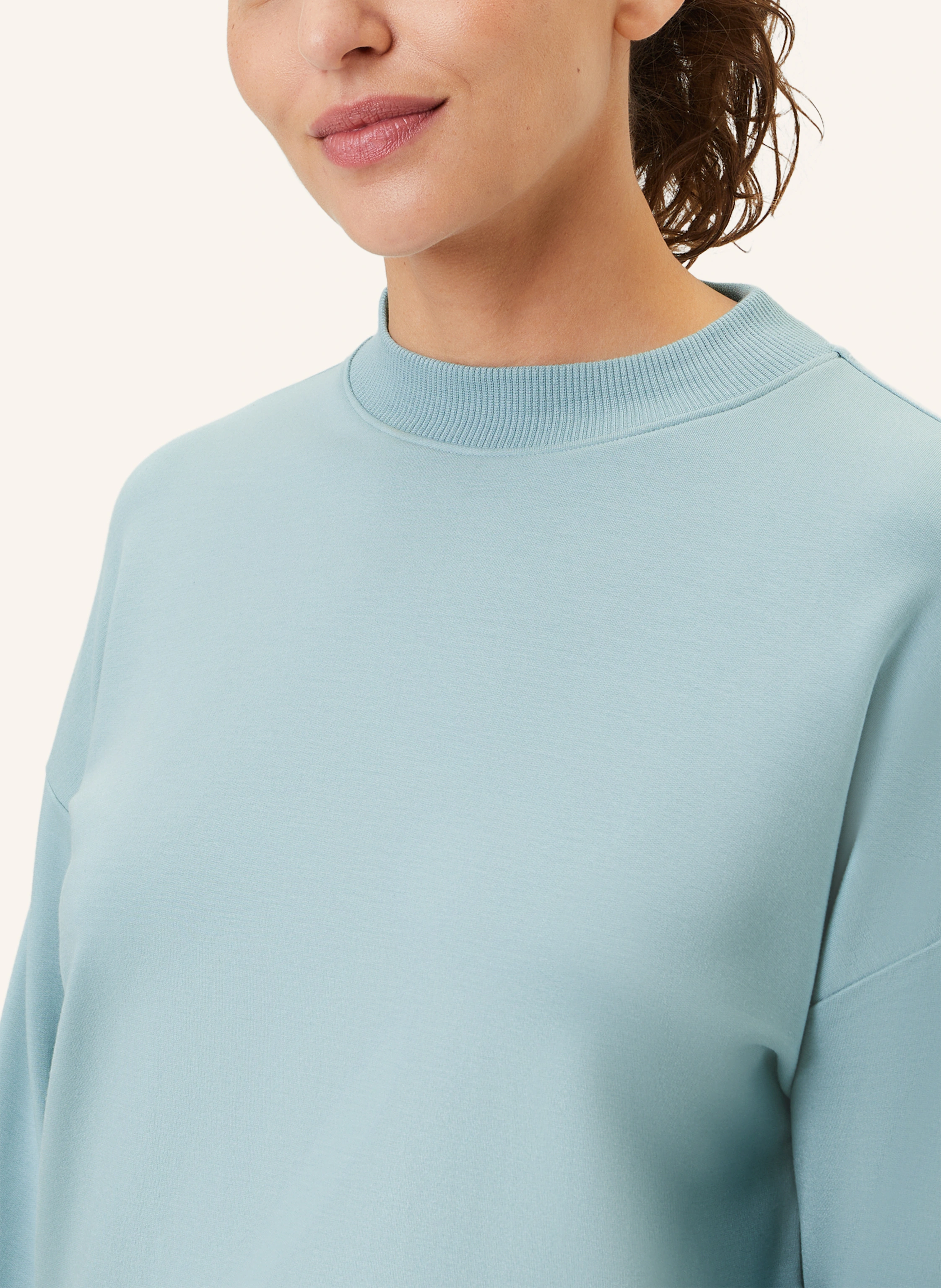 VENICE BEACH Sweatshirt VB Quincy