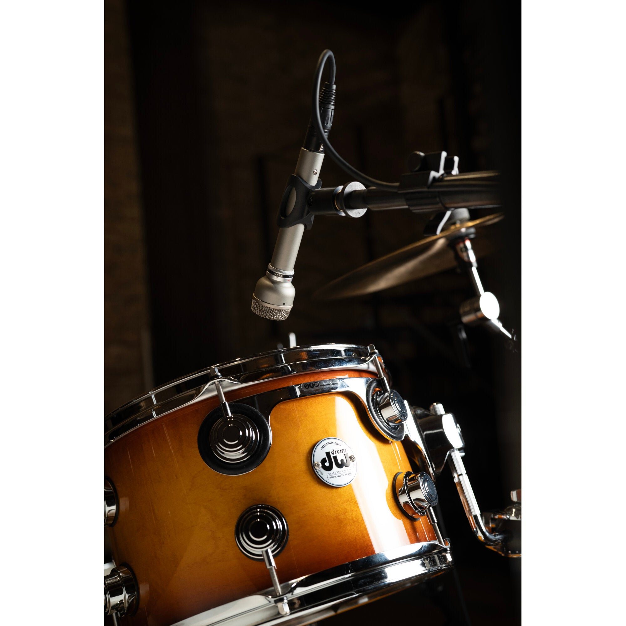 Warm Audio WA-19 Nickel dynamische microfoon