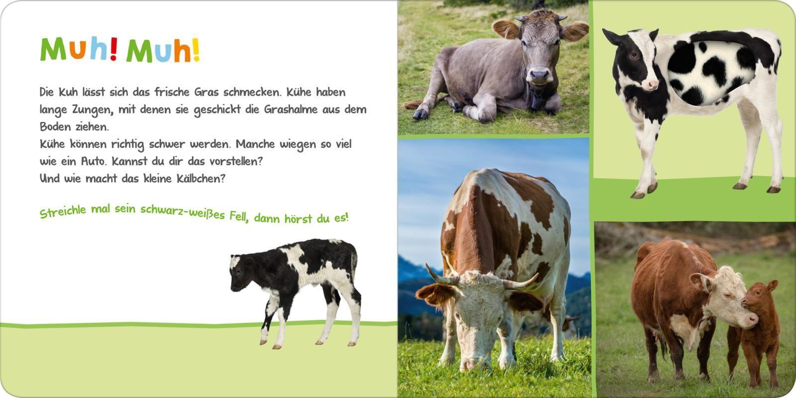 Hör mal rein, wer kann das sein? - Auf der Weide