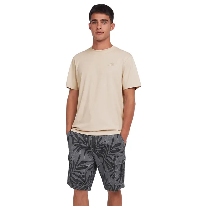 O'Neill Small Logo Shirt Heren
