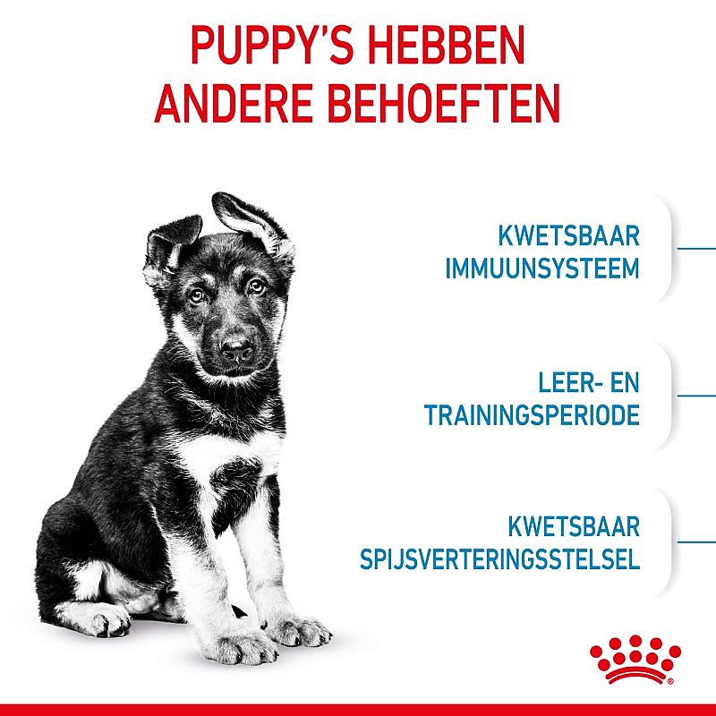 ROYAL CANIN® Large Dog Junior 25-45Kg - Hondenvoer voor de spijsvertering en gewrichten van pups van grote honden