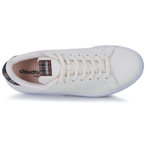 Adidas Sportswear - ADVANTAGE - Beige / Tartan