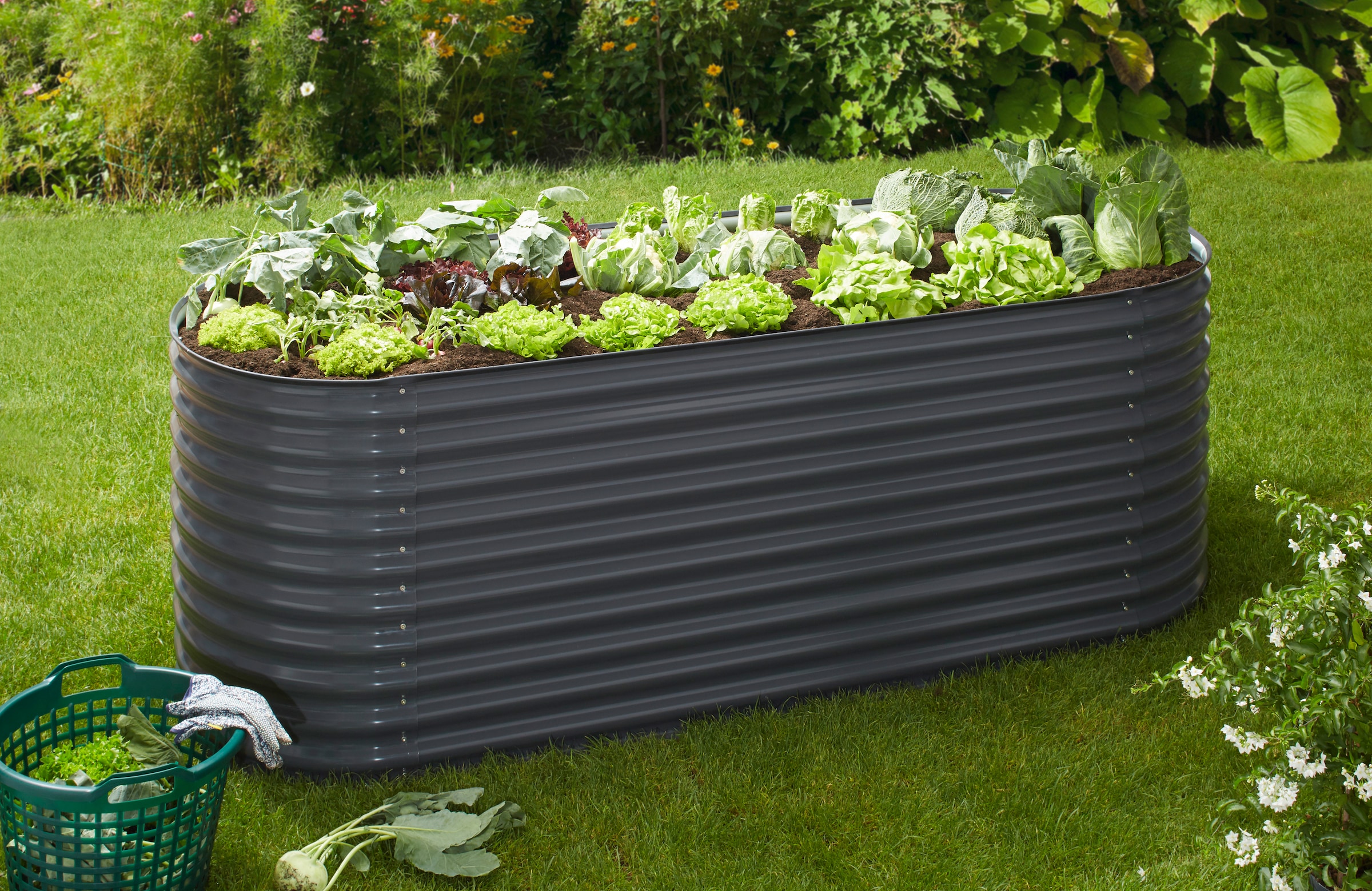KONIFERA Hochbeet », bodenloses Gartenbeet aus verzinktem Stahl« witterungsbeständig, BxTxH: 240x80x82 cm, in 2 Farben
