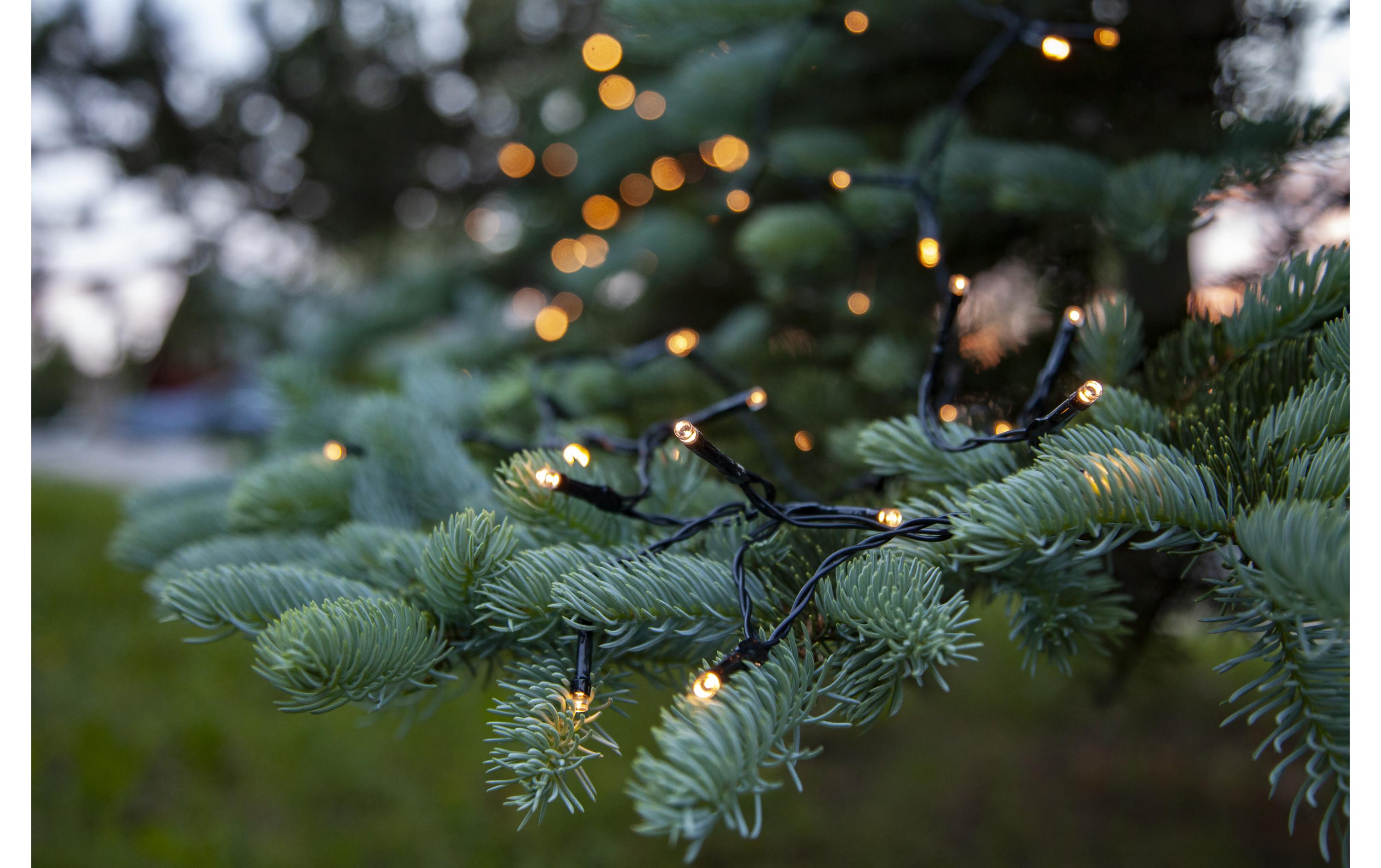 LED-Lichterkette Dura String 160 LED, 1120 cm, outdoorOutdoorlichterkette mit Batterie
