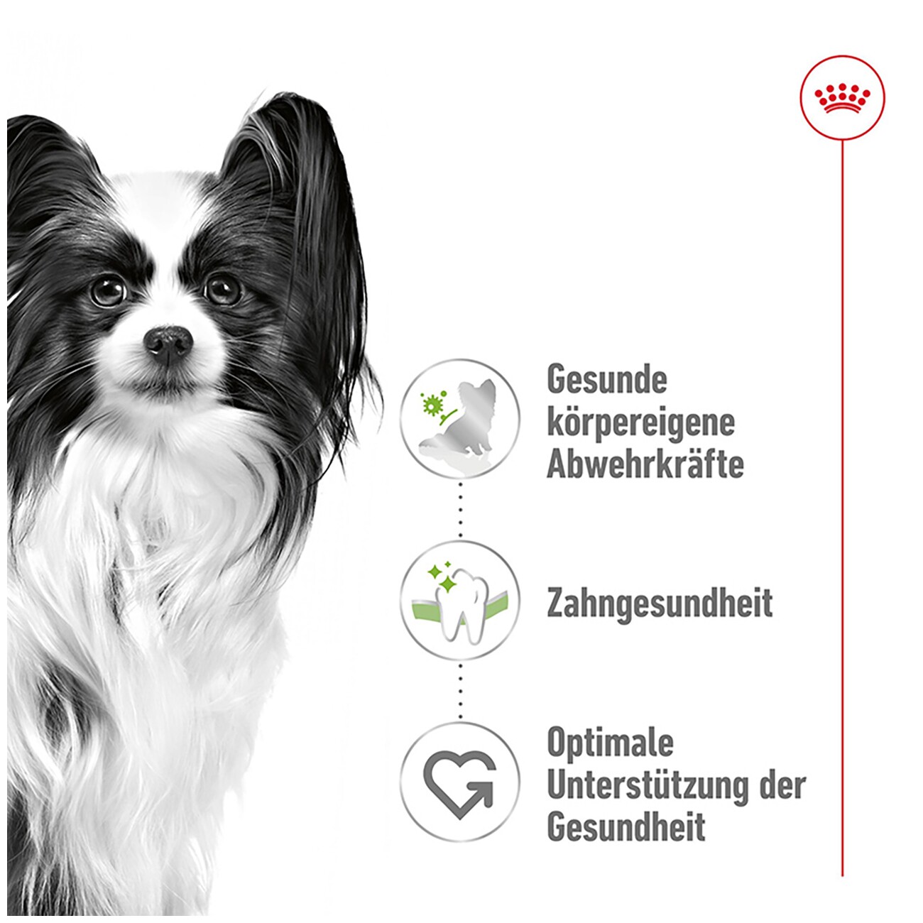 ROYAL CANIN X-Small Ageing 12+ 1,5 kg