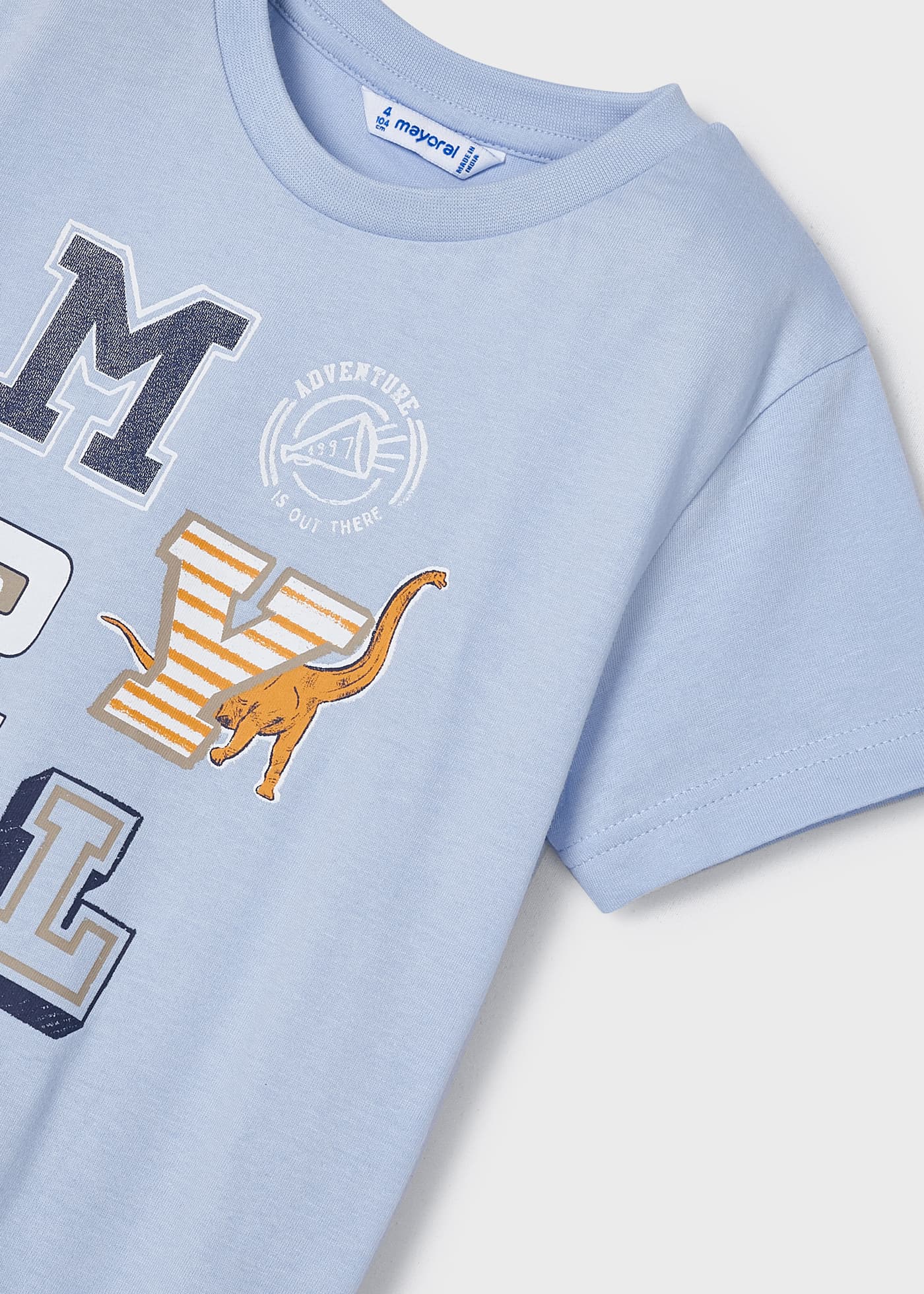 Camiseta infantil masculina em algodão sustentável com estampa.