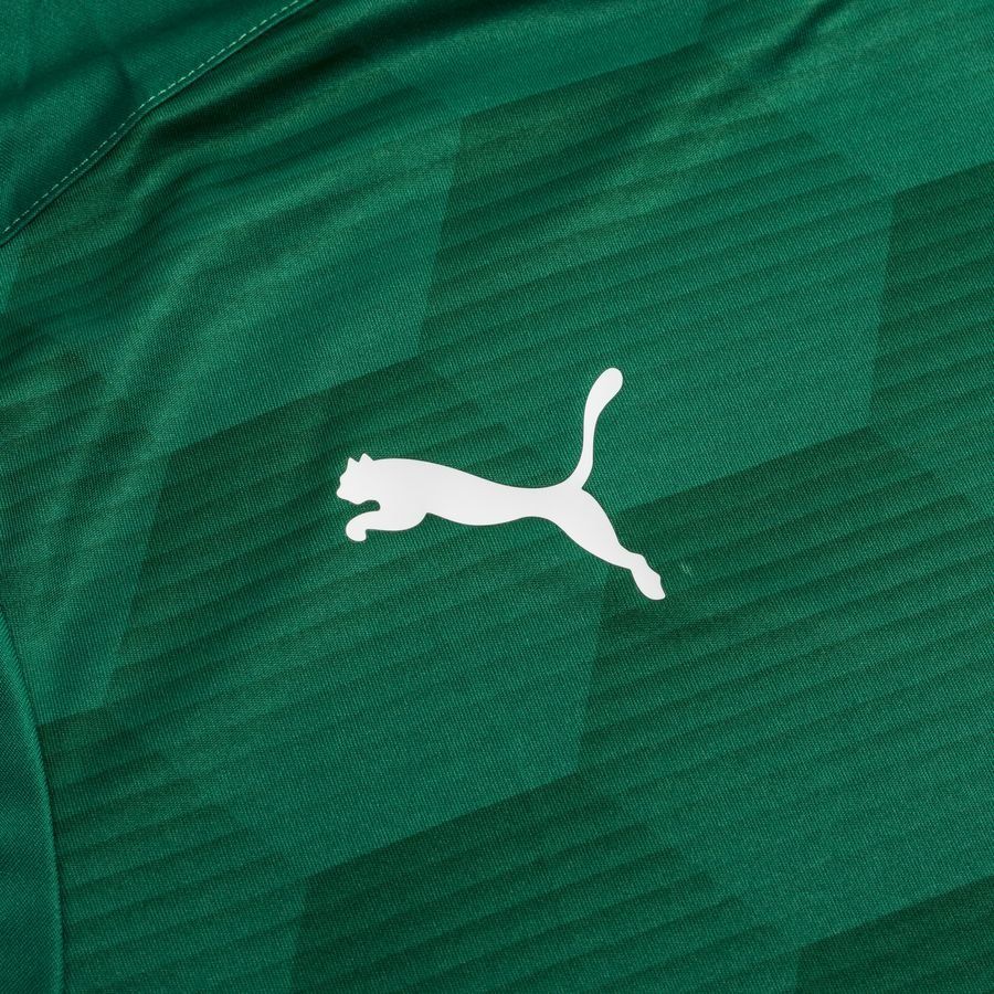 PUMA Maillot teamFINAL 21 Graphic - Vert/Vert
