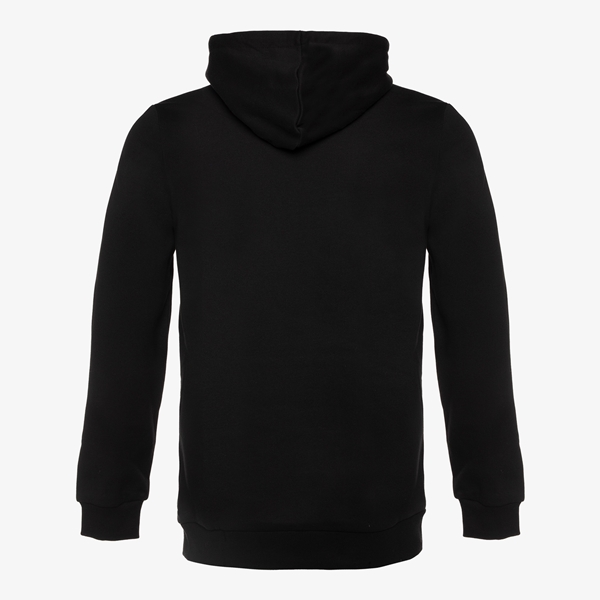 Puma Essentials Big Logo heren hoodie zwart