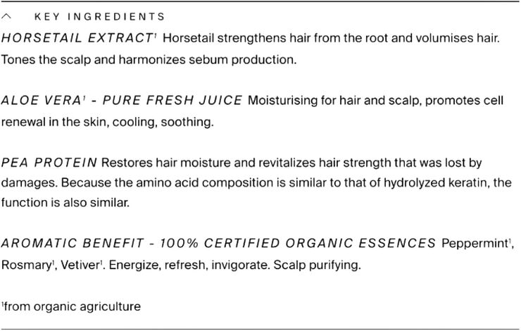 Less Is More Organic Aloe Mint Volume Shampoo