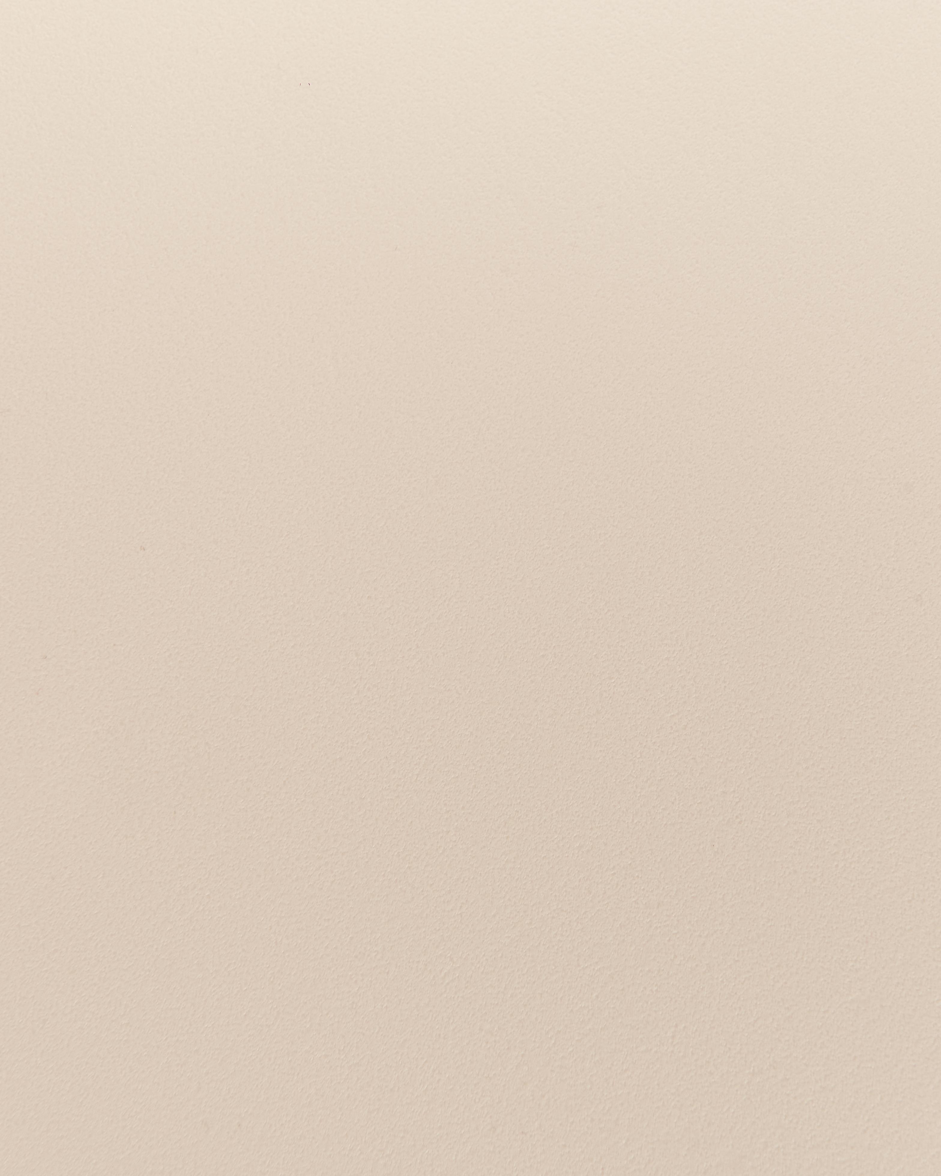 Set van 4 eetkamerstoelen MILLERS Beige