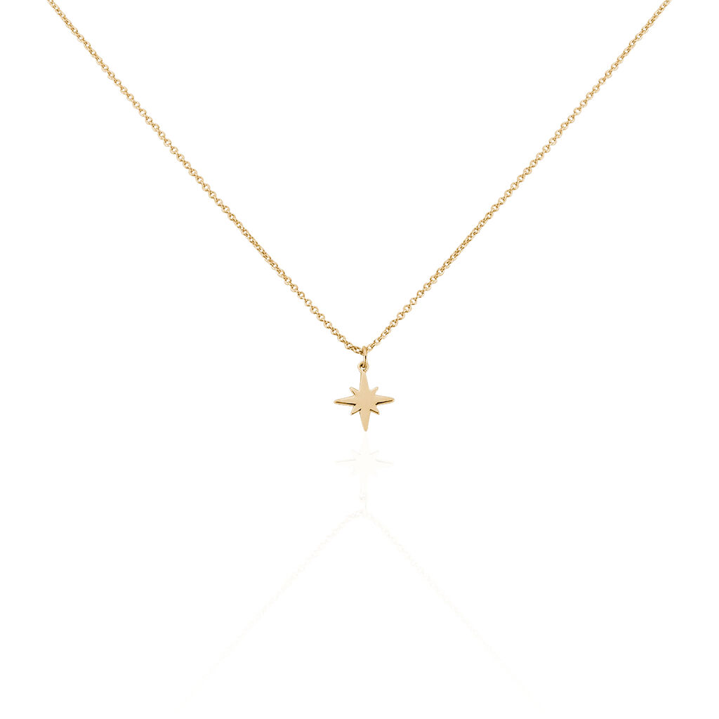 Collier Alisee Plaqué Or Jaune