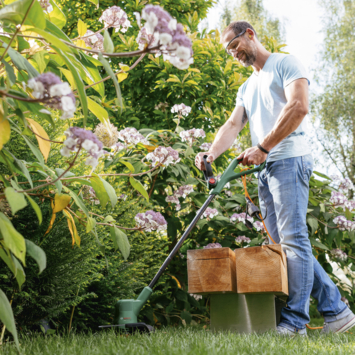 Bosch trimmer 280W EasyGrassCut 23 23 cm