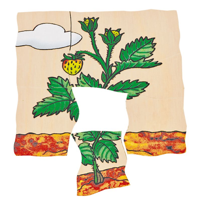 Beleduc Lagen-Puzzle Erdbeere