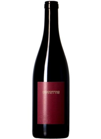 Botrytis - Les Frères Soulier