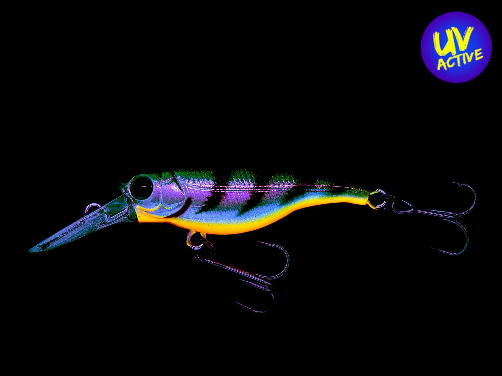 SX 40F (346) Brown Perch