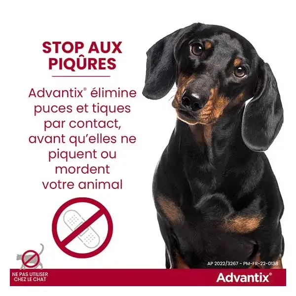Solução Advantix para tratamento de pulgas e carrapatos em cães de porte médio, 10-25 kg, 6 pipetas.