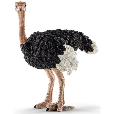 Schleich® 14744 Strauß