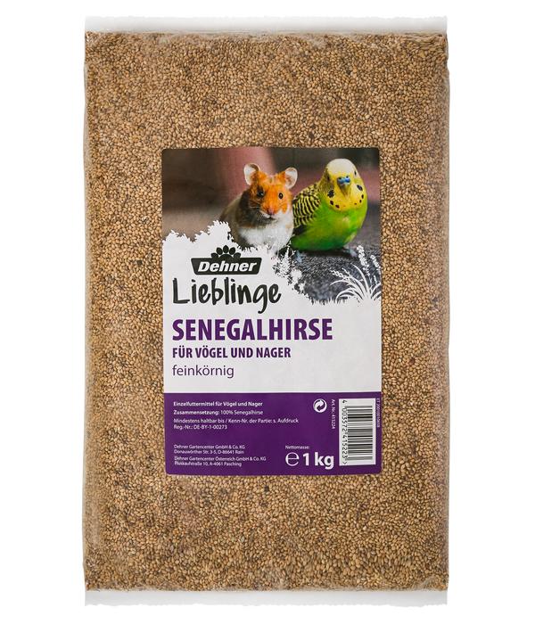 Dehner Lieblinge Senegalhirse, 1 kg