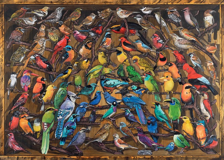 Ravensburger - Puslespil - Rainbow of Birds 1000 brikker