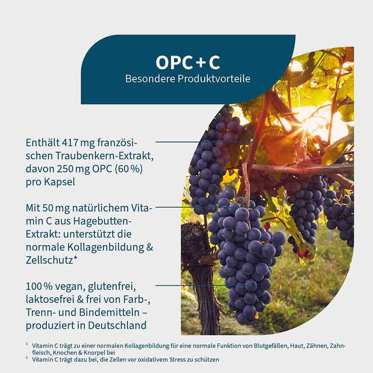 OPC + C Kapseln, 90 St