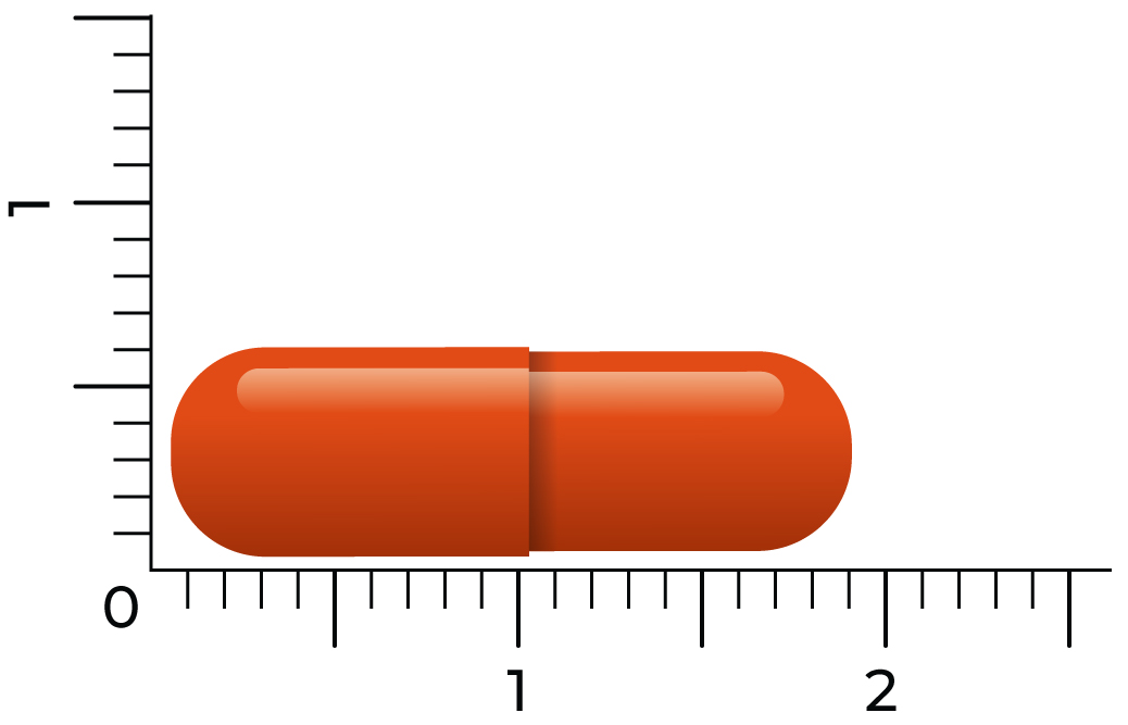 Vitakruid Prostaatformule Oa Zaagpalm, Brandnetel & Zink (60 vega capsules)